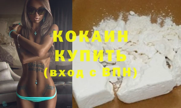 мяу мяу мука Горно-Алтайск