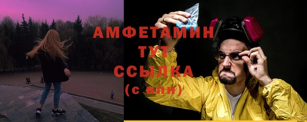 Альфа ПВП Горняк