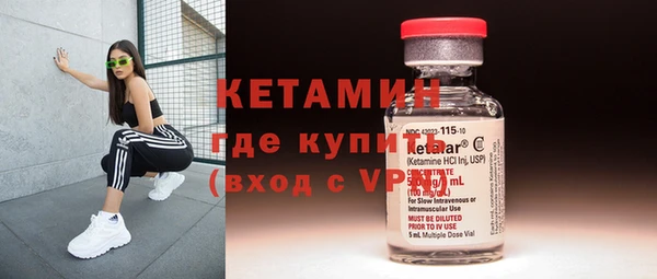 индика Богданович