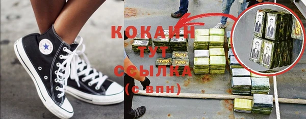 шишки Волоколамск