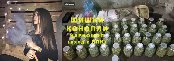 Альфа ПВП Горняк