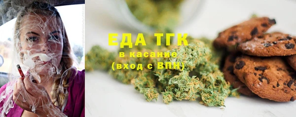 Альфа ПВП Горняк