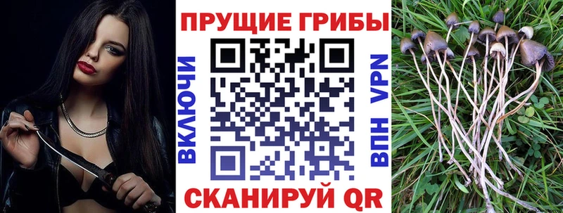 Купить  Оханск  Псилоцибиновые грибы MAGIC MUSHROOMS 